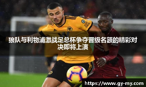 永利皇宫官网